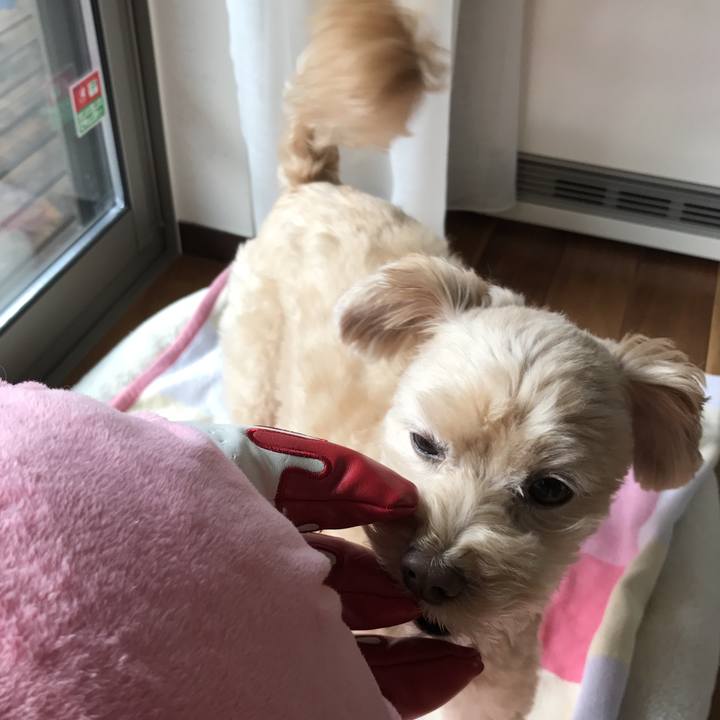 2b0793e1 40f2 41c9 9a28 0afef7fa6067