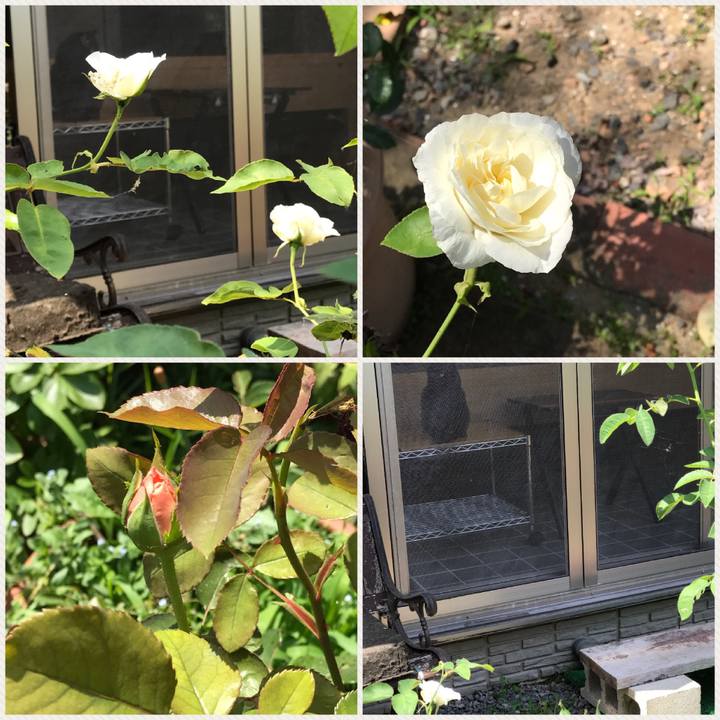 2b07edd2 cbe9 4f89 9021 a6f103c84101