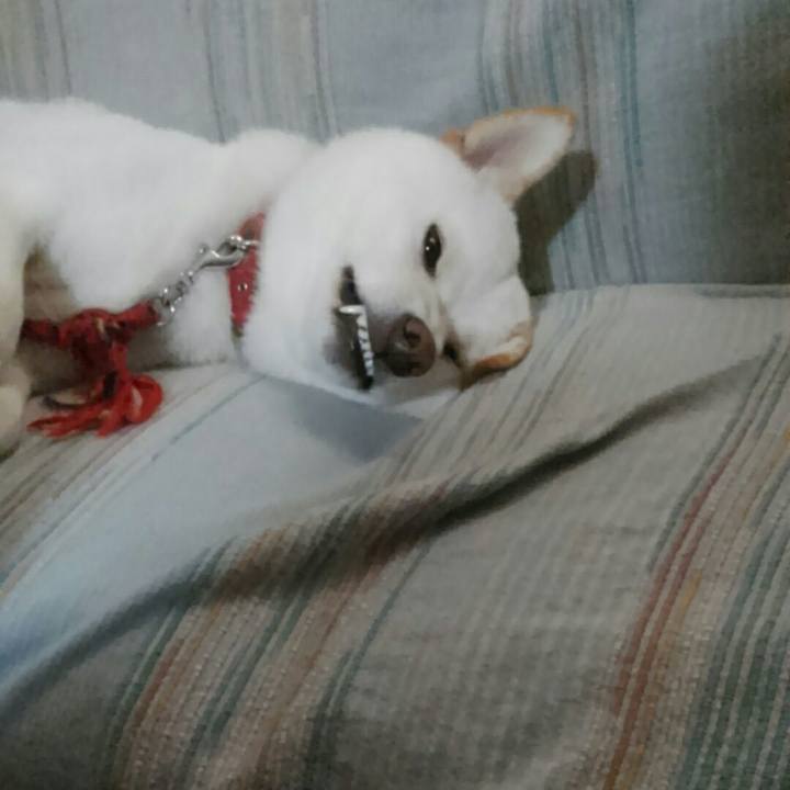 2b08e2fc 7801 483a a011 51ee3e171af9