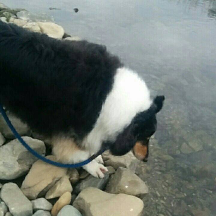 2b090fb1 041b 418d ae65 97411602c399