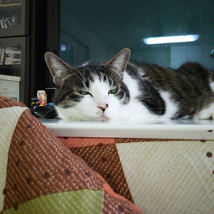 2b09646a a2ea 4601 b351 d4222ab78063