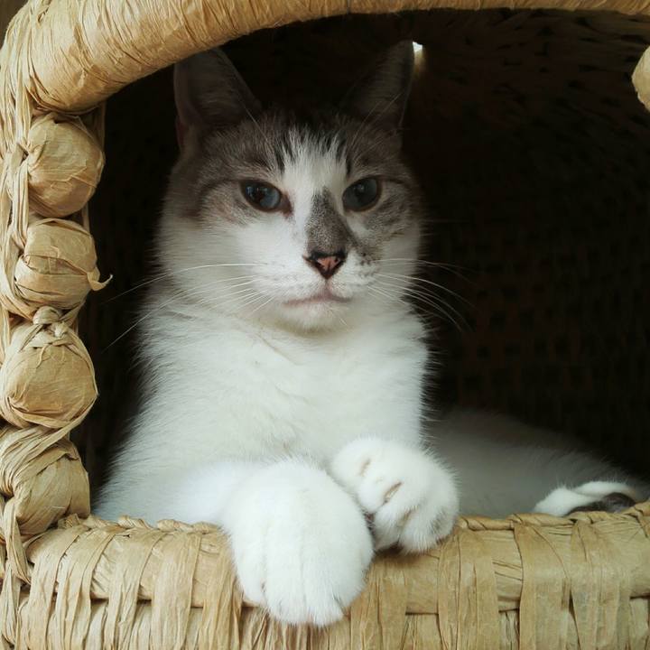 2b096a5f 8f78 4f81 bca5 7513689a1062