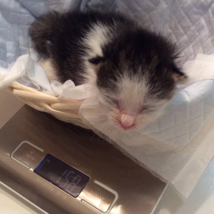 2b09cfec 7f91 414f b173 dbd4c24546c6