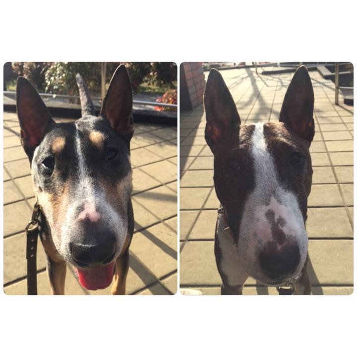 2b0a0feb e443 4dce 9fce a06a703f986b