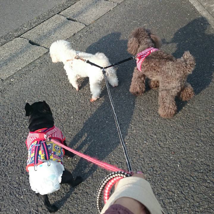 2b0aacab 622c 4469 80a1 9ce885765971