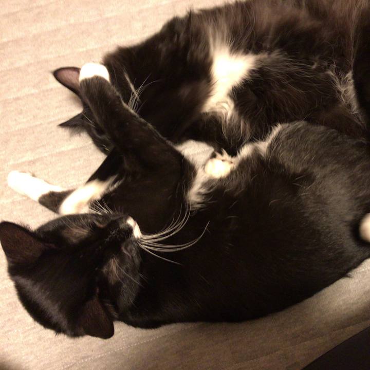 2b0b20c2 65a1 4083 97ef aeed7372d778