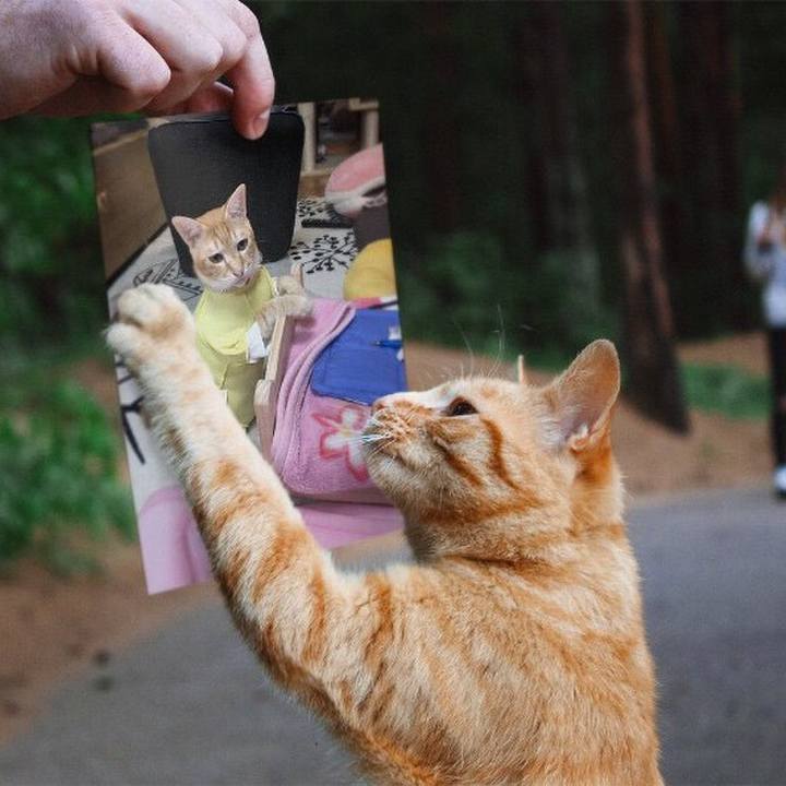 2b0b8cc7 abdb 4a14 85f1 6c8cc83b2499