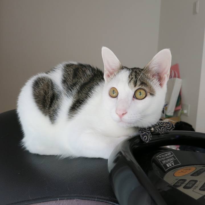 2b0c58f0 6b76 4eb1 9e1e a50b9d6342ed