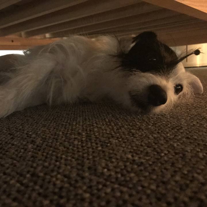 2b0c5926 45f5 4cd3 a6e4 b43843e44af2