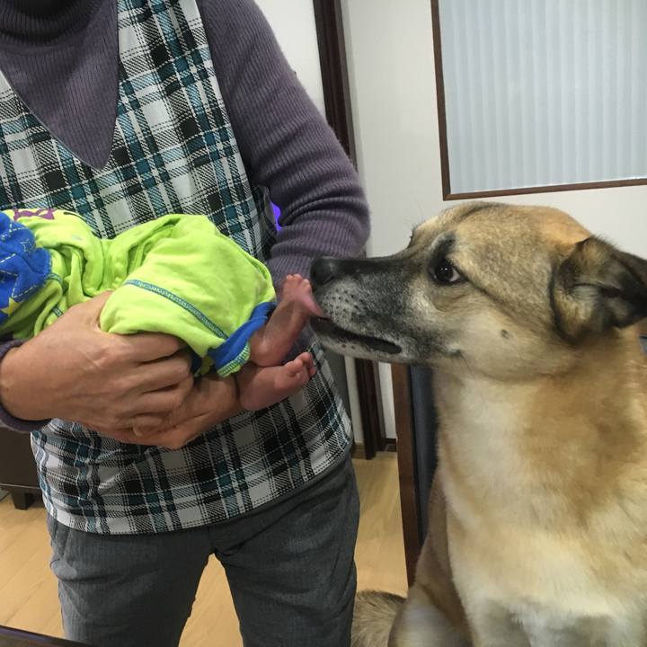 2b0c959f 9f42 47da 830c 5369bf6bd771