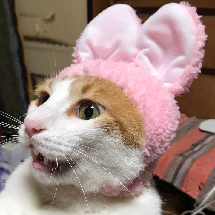 2b0cc6bc c108 4d48 ae48 cd762979a7e6