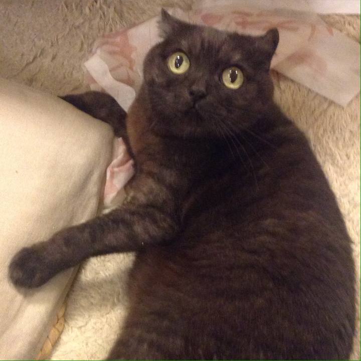 2b0d45c7 6306 4326 b45f 0c57568a79c9