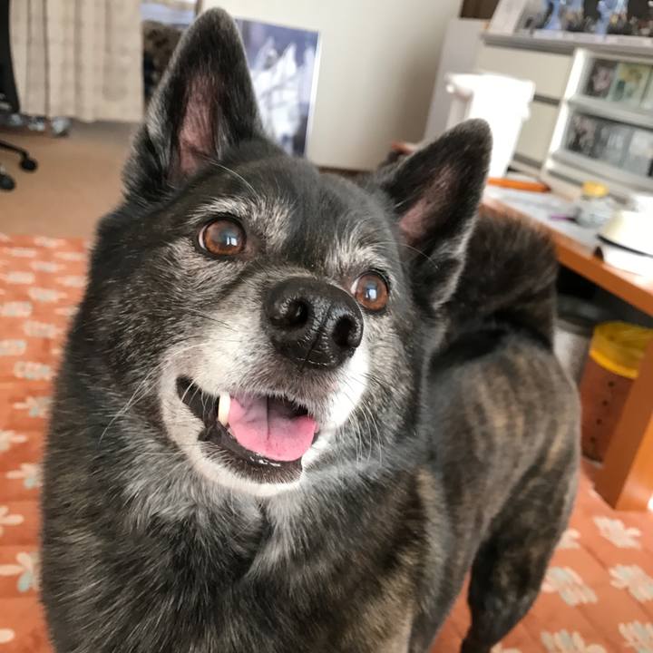 2b0d7f44 4aad 4f4b a675 ba565a7c5b13