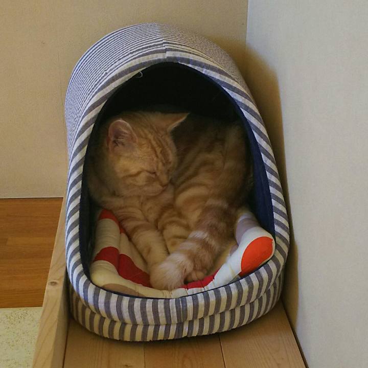 2b0d95c0 b976 4b45 834b 2e1d1c909ecf