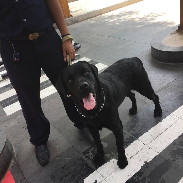 2b0dbd31 ca0d 4a48 bf3a ca26b46f18b0