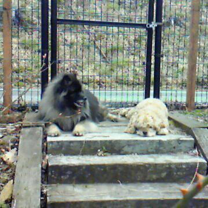 2b0ea895 2d73 448a 95f1 7e1ed3640bab