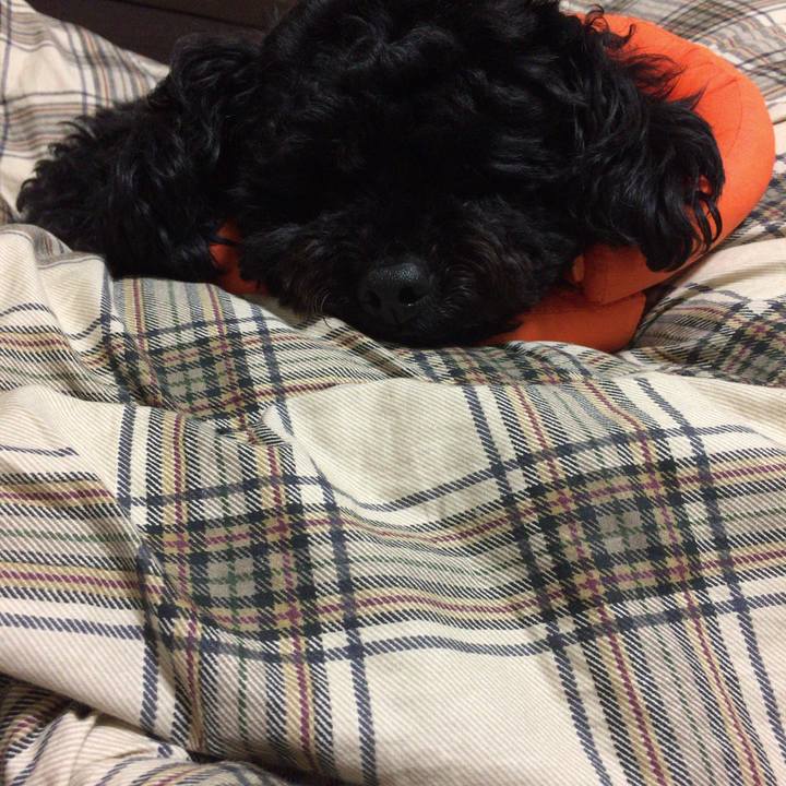 2b0fcd44 78b9 4898 919d 9a603ae5ae7e