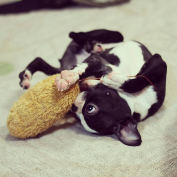 2b1107ef 27c8 4bd5 8ed9 6fc5c4493176