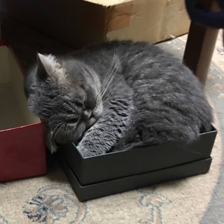 2b11935c ea18 4f07 a3b0 3b1ee9223fb3