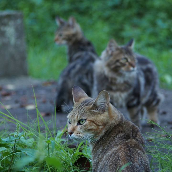 2b11cd6a fd6f 4133 bf36 5e71477d4e7a