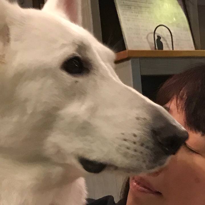 2b12adc6 fabb 4d62 96c7 25dee2325e8b