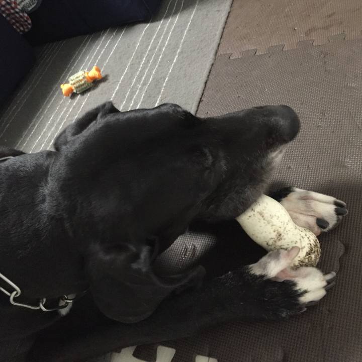 2b12b1f9 098c 4ac7 90ab 4538716ecccc