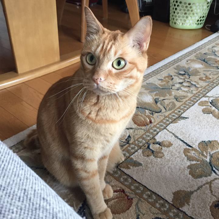 2b13ba7c 4d7f 4c73 bed7 6359a6edce67