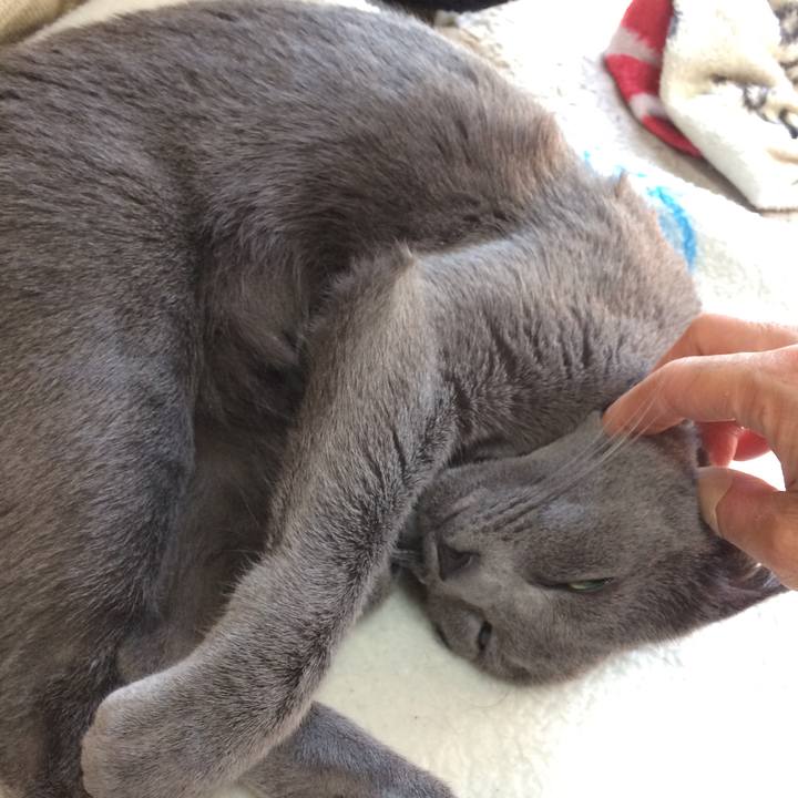 2b14be12 0f38 4a83 b21a 164425e96cdd