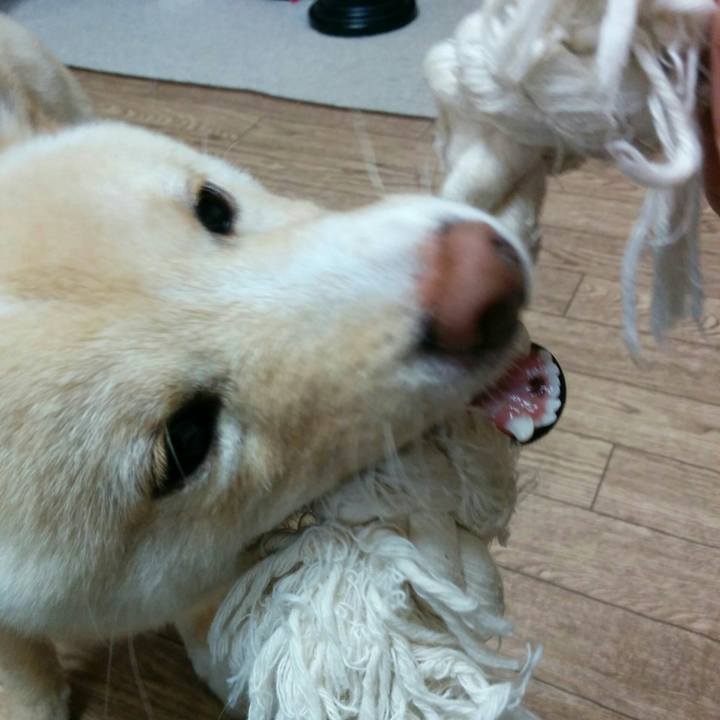 2b14f234 6ef7 46b3 800d 18b2da332c88