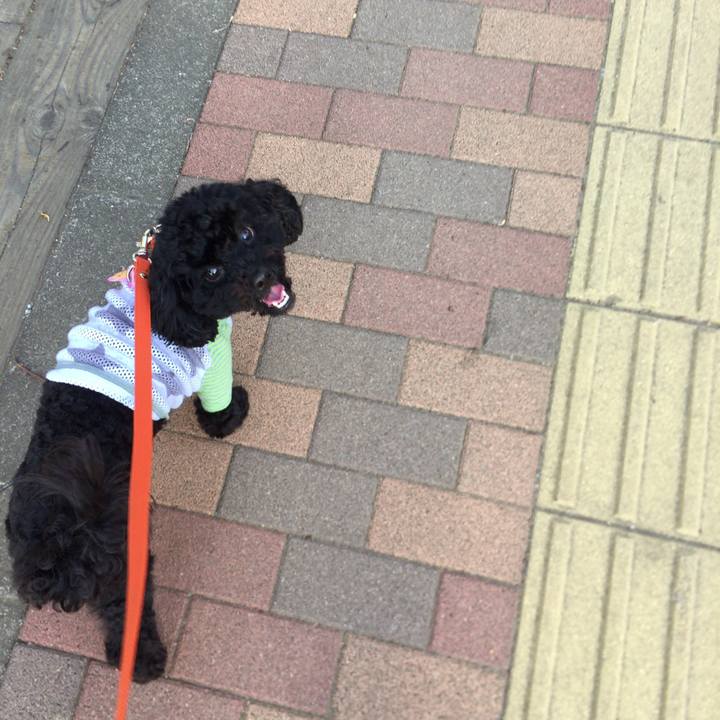 2b156959 e87c 4ade 91d7 c3b9c07e6128