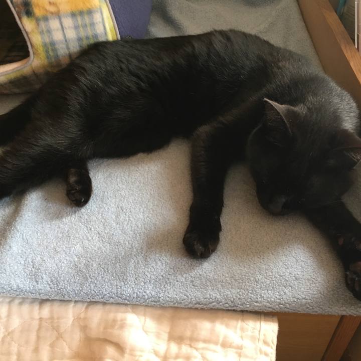 2b159aab c5d8 4a64 9482 b43becadbba0