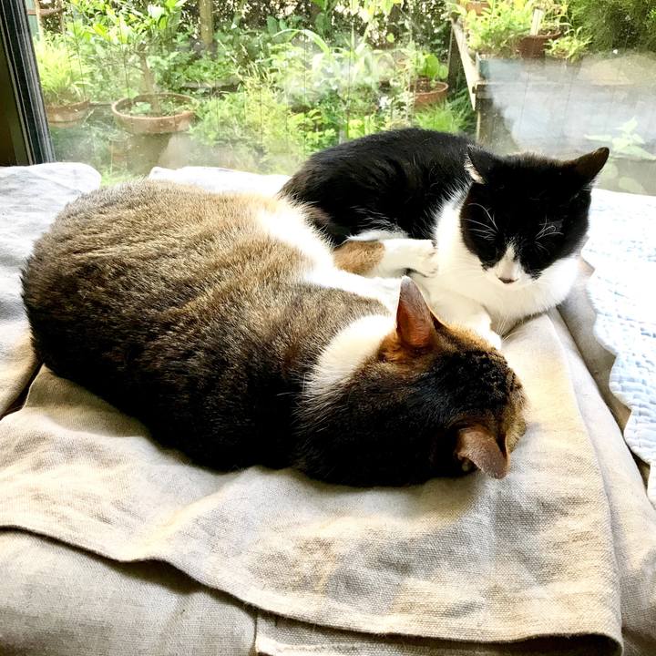 2b163c32 d3c5 4b78 be4b 3ad4eb205ecd