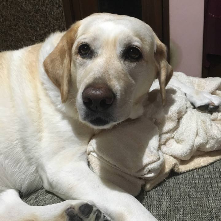 2b169798 aa2b 4186 ba0e d526d4fe17af