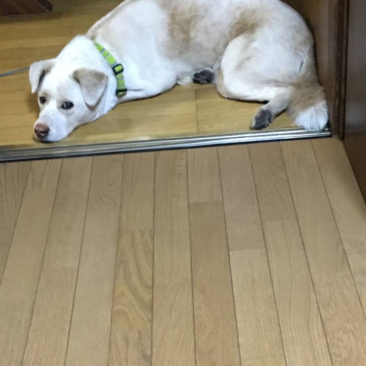 2b16b065 dcfa 4643 91ef 2132d54d3a89