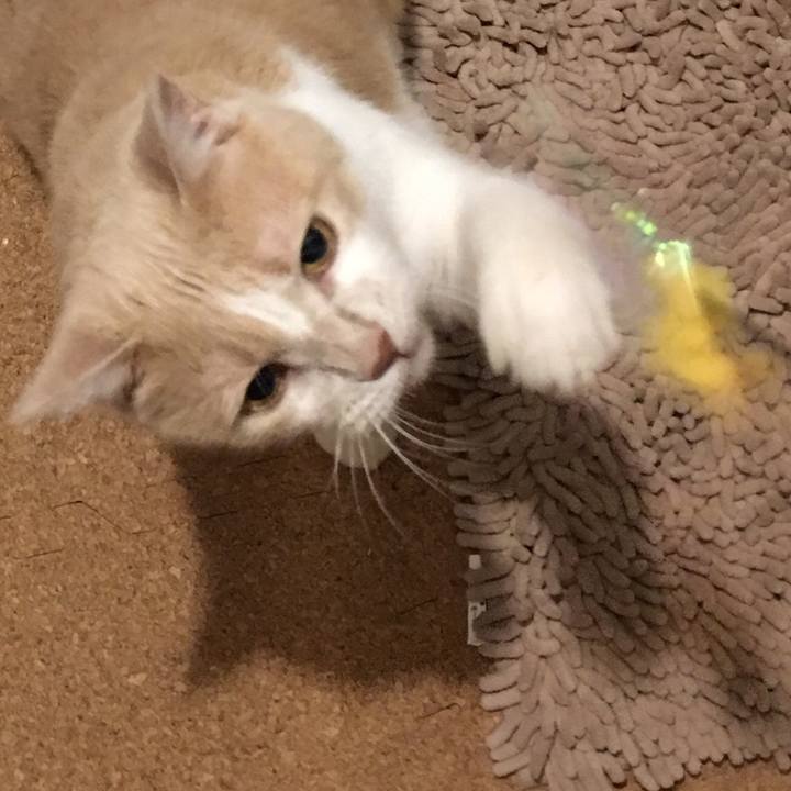 2b16c824 582b 4184 a284 b03e88bfb0ab