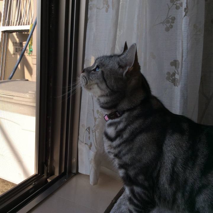 2b16f975 4a08 40ce a0c0 ca57b9f36664