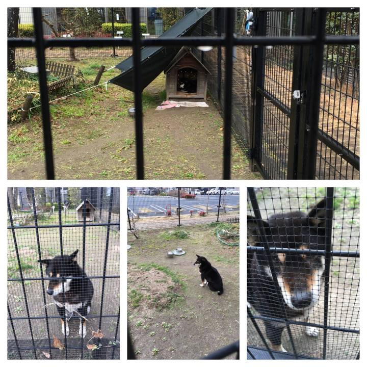 2b179a7e 60dd 46ae a607 57e3cee79c21