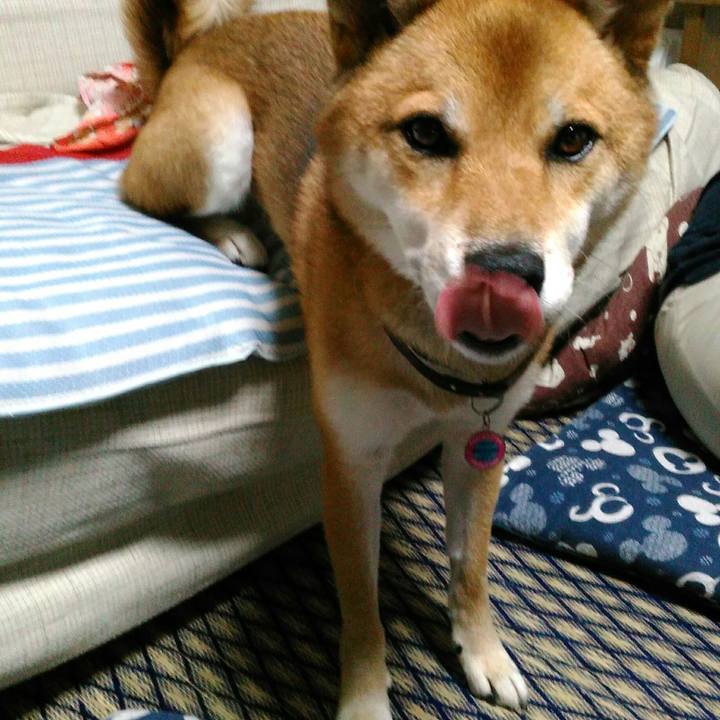 2b17a8d9 493d 4f81 b796 526b169c47c1