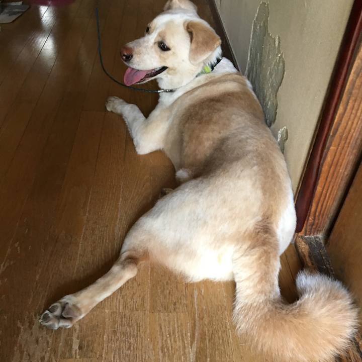 2b17ab4b e985 4e51 ac0a 5edbc2ddef6b