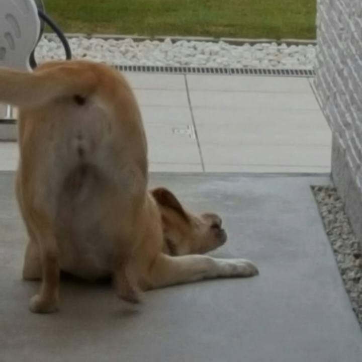 2b18b401 4ad4 4067 a29e e2679861abeb