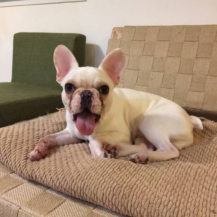 2b18fb8d dc2d 4685 8766 16f4eb758554