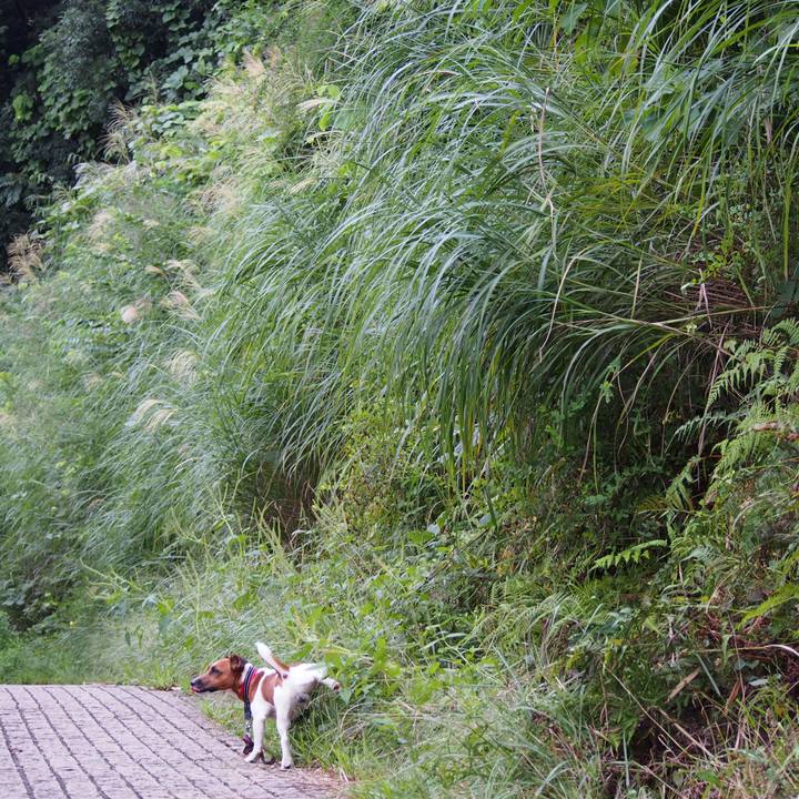 2b193360 b35d 465c 9087 3fa9b89c3a55