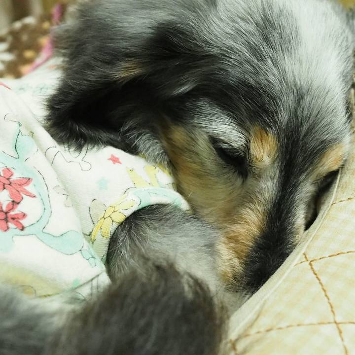 2b19950c 7520 49cd a9eb df78f4e2b45b