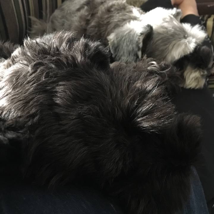 2b199a7a 6ea3 43ed a4aa 0054bd70cb66