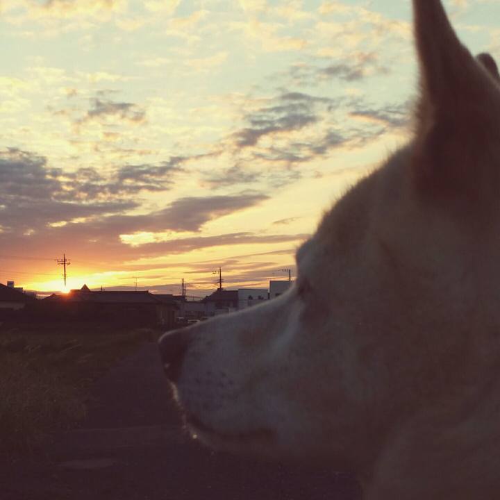 2b19d884 d7ae 4a5c ac88 e1dabf689b5c