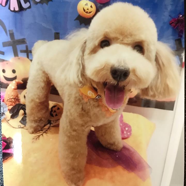 2b19f520 162a 47a5 8ac0 6f8af9118f6b