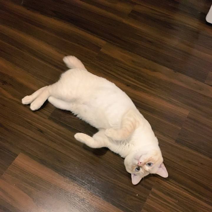 2b1adfa8 f904 4c6d 9f33 e0e1cab0ac42