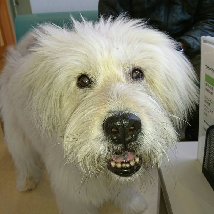 2b1b776d f095 4581 b097 19a91f56c08e