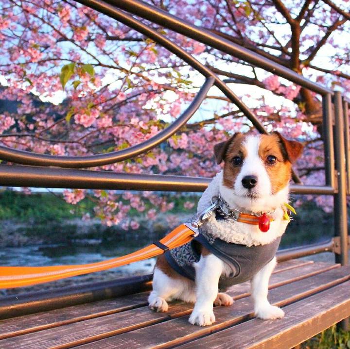 2b1bb9c6 979a 4533 a2fe 176f3017e293