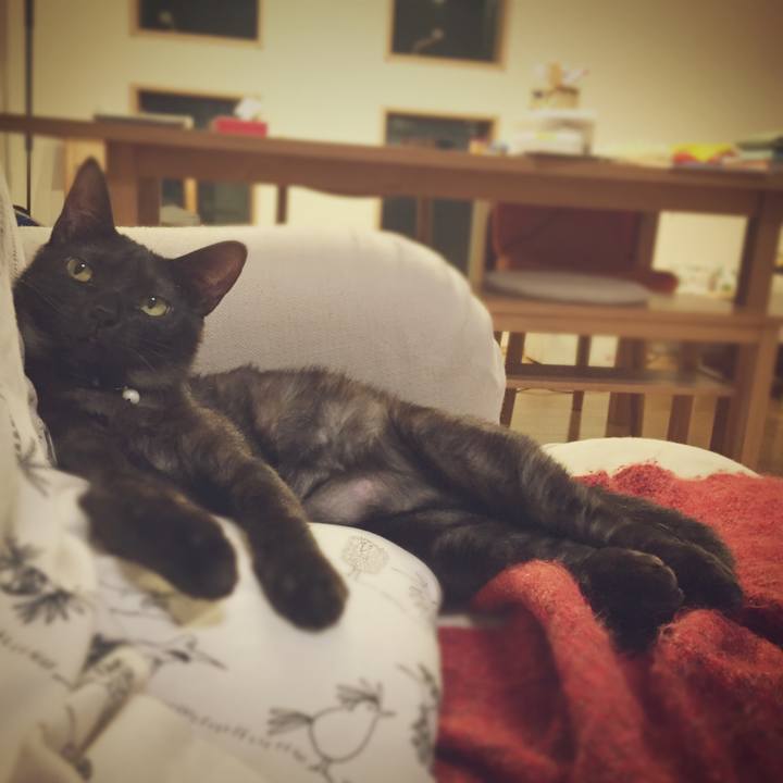 2b1bd7d0 8bdd 4c65 83d5 8f1e1431a938